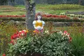御岳ロープウェイの写真_96515