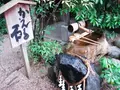 堀越神社(大阪)の写真_96625