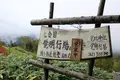 御岳ロープウェイの写真_96668