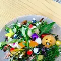 旬彩じぱんぐ (春吉,懐石料理,コース料理,接待,おすすめ,人気)の写真_96771