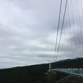 三島スカイウォークの写真_97152