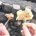 とり若の写真_97481