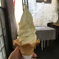 たかちゃんの写真_97511