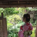 嵐山よしむらの写真_97693