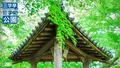 哲学堂公園の写真_97893