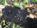 大江小学校の写真_97929