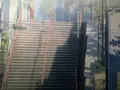須賀神社の写真_97988