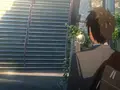 須賀神社の写真_97989