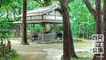 哲学堂公園の写真_98020