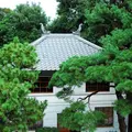 哲学堂公園の写真_98027