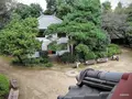 哲学堂公園の写真_98028