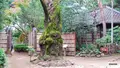 哲学堂公園の写真_98034