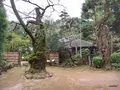 哲学堂公園の写真_98035