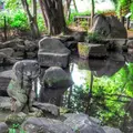 哲学堂公園の写真_98070