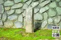哲学堂公園の写真_98072
