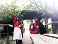 国営ひたち海浜公園の写真_98390