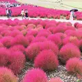 守谷サービスエリアの写真_98394