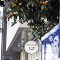 Onigily Cafeの写真_98446