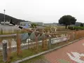 相生ポート公園の写真_98450