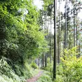 奥多摩駅の写真_98461