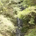 白髭大岩の写真_98462