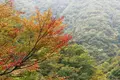 浅間神社の写真_98471