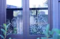 メヌードの写真_98561