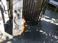いぶし屋の写真_98672