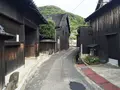 オリーブのリーゼントの写真_98794