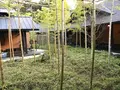 箱根湯寮の写真_98960