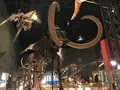 神奈川県立生命の星・地球博物館の写真_98968