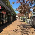 田園調布駅の写真_99153