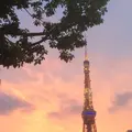 東京タワーの写真_99193