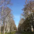 グリーンパークの写真_99298