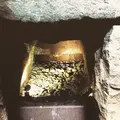 等々力渓谷の写真_99400