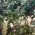 等々力渓谷の写真_99401
