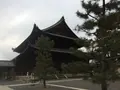 妙心寺の写真_99407