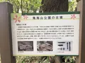 飛鳥山公園の写真_99523
