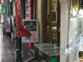 丸十ベーカリーヒロセ丸十パンの写真_99539