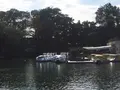 井の頭恩賜公園の写真_99913