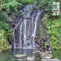 飛烟の滝の写真_99966