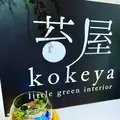 小さな緑のインテリア 苔屋の写真_1000317