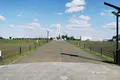 県営権現堂公園（幸手市権現堂堤）の写真_1000672