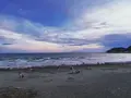 由比ガ浜海水浴場の写真_1000688