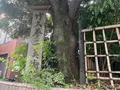 竹久夢二美術館の写真_1000697