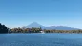 大瀬崎の写真_1000704