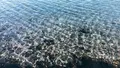 大瀬崎の写真_1000705