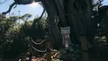 大瀬崎の写真_1000707