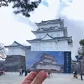 小田原城の写真_1000710