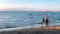 江の島の写真_1000722